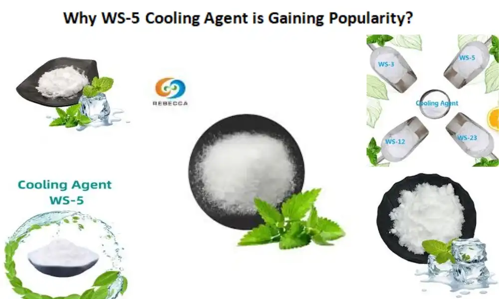 Why WS-5 Cooling Agent is Gaining Popularity?
